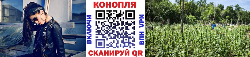 Конопля MAZAR  закладки  Дегтярск 